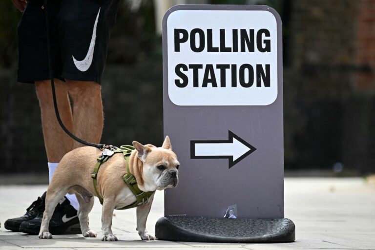 polling station dog electoral commision