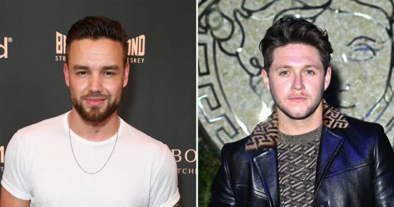 Liam Payne and Niall Horan friendship timeline FTR