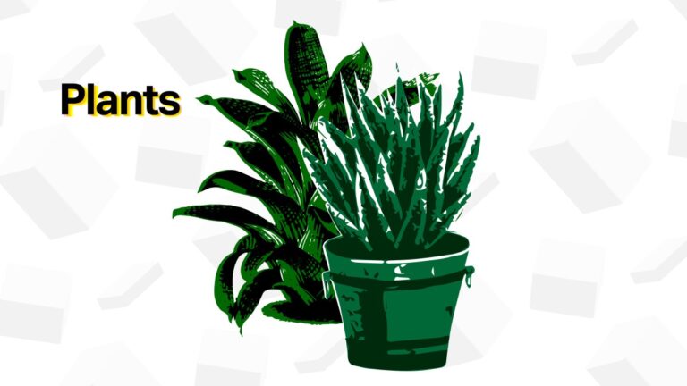 gift guide 2021 plants hub