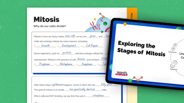 wards science mitosis cell feature v3