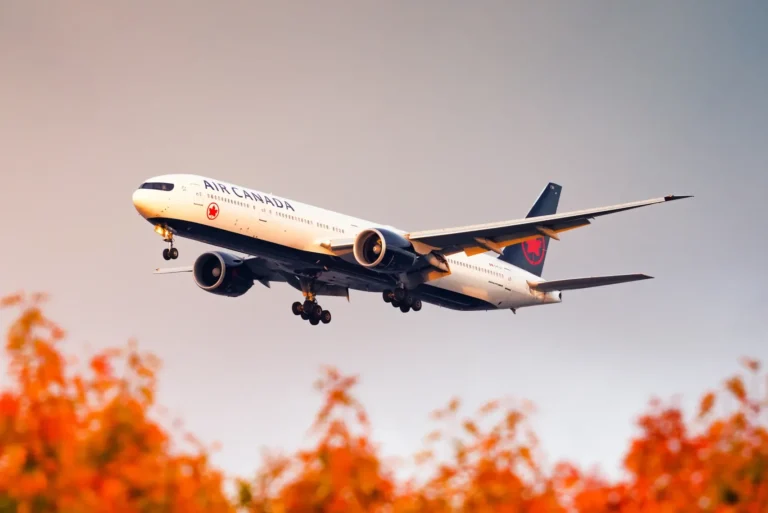 air canada 777 yvr trees scaled e1706107743822.webp