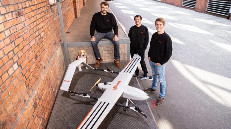 Beagle founders
