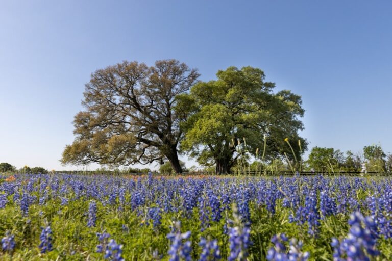 shutterstock 2280418477